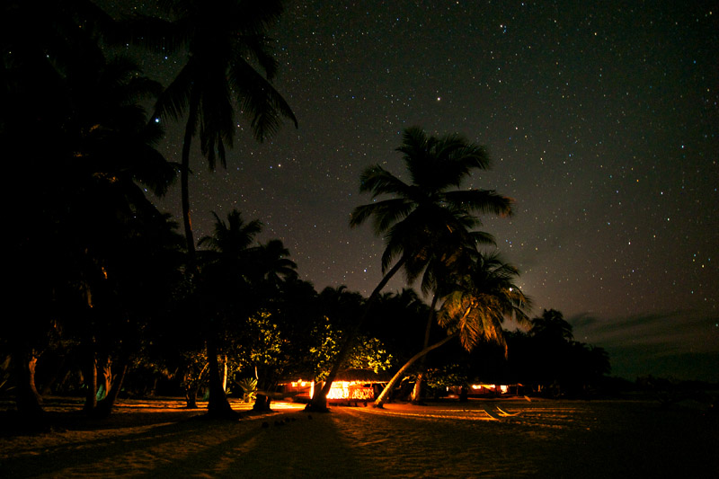 Kia Ora Sauvage at Night