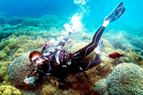 Nina Dobrev, Diving in Bora Bora