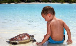 Toddler with Turtle, Le Méridien Bora Bora