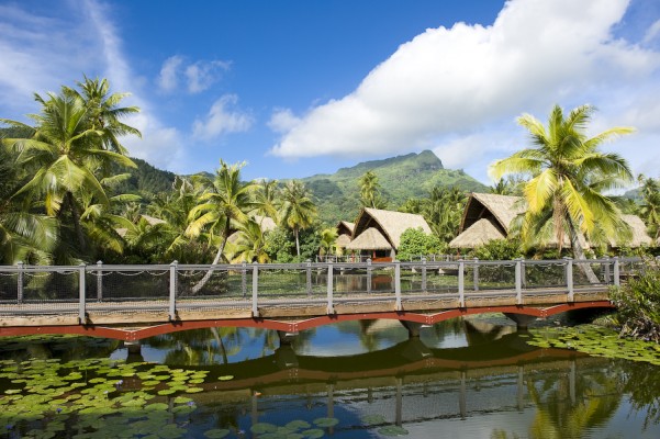 Maitai Lapita Huahine