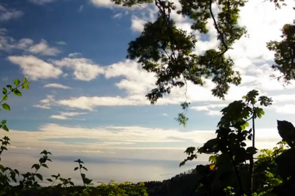 "Somewhere in Tahiti" by Sylvain Candelibes